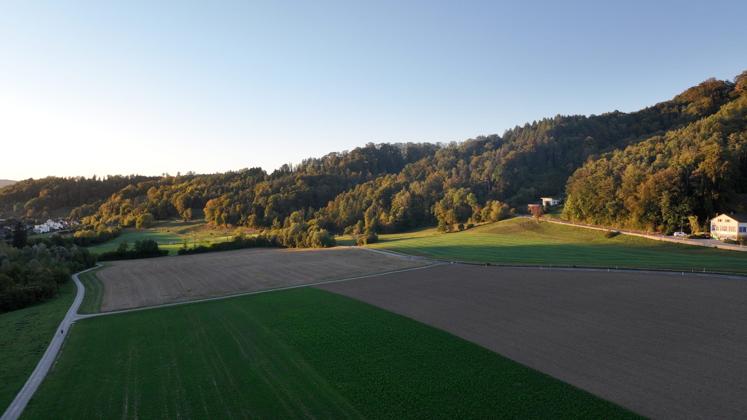 Fields in the evening light