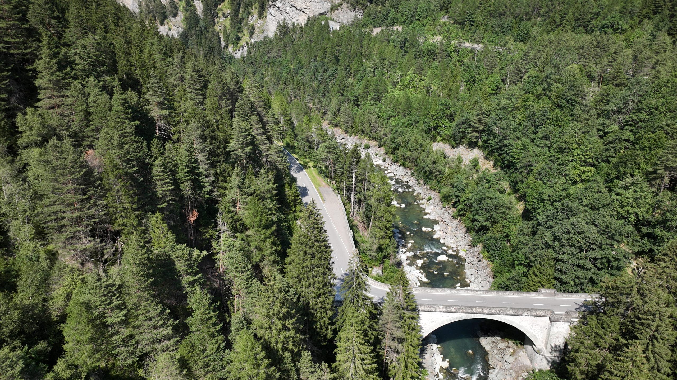Bridge and river in the mountain forest