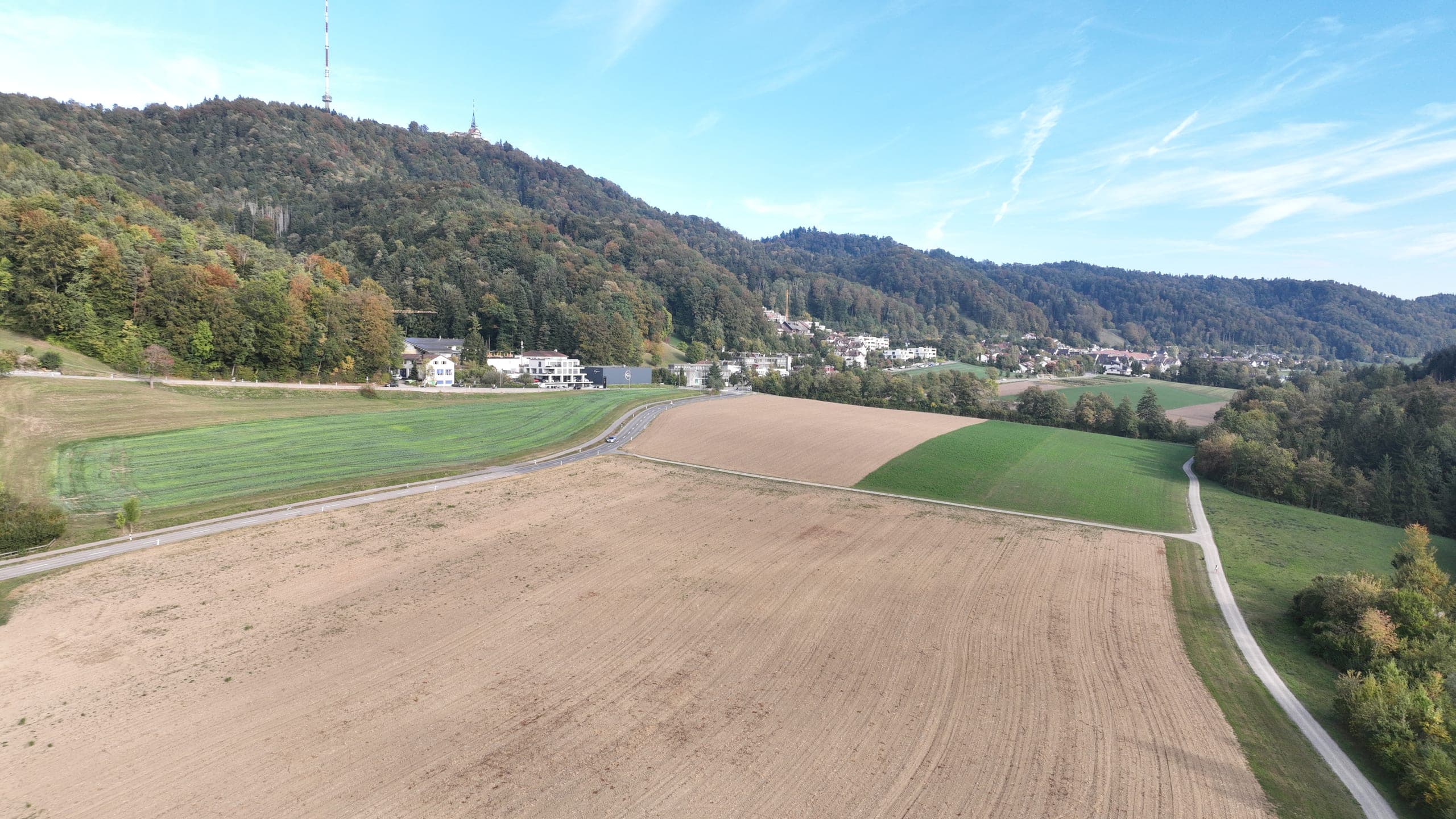 Field in the Reppisch valley with the Uetliberg behind