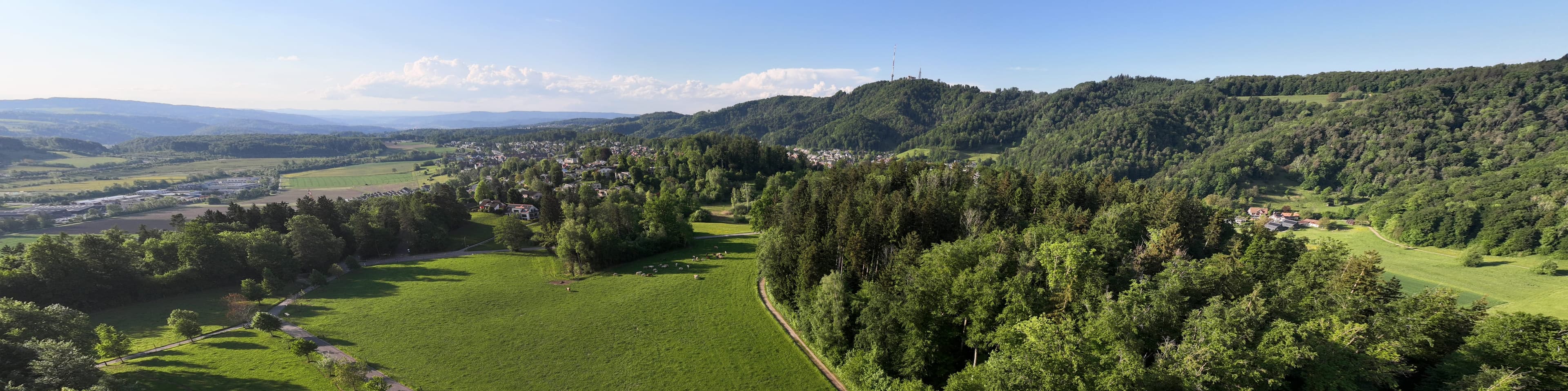 Wide view across the valley to the Uetliberg
